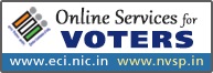 Online Services Voters